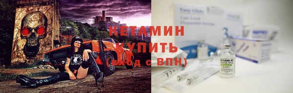 шишки Пересвет