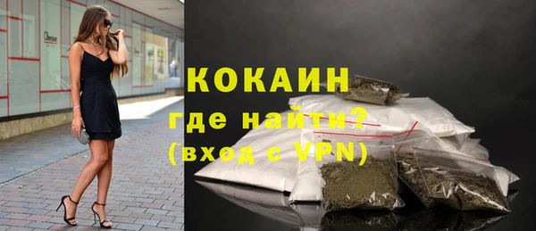 шишки Пересвет