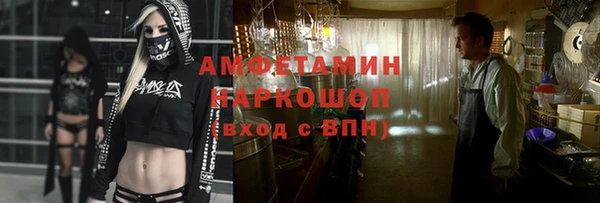 шишки Пересвет