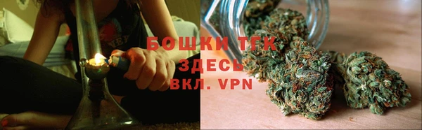 шишки Пересвет