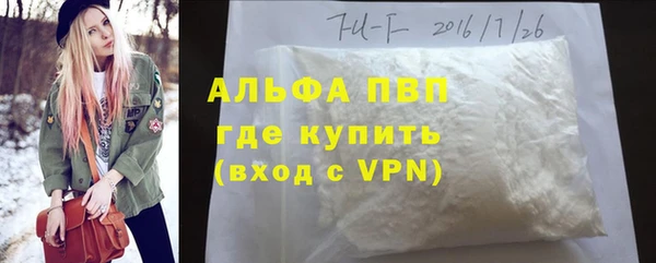 шишки Пересвет