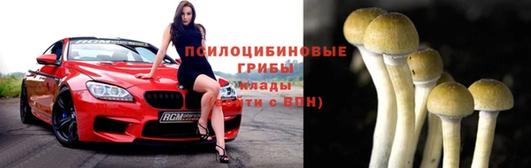 шишки Пестово