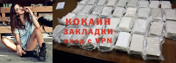 шишки Пестово