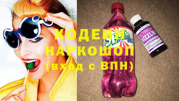 шишки Пестово