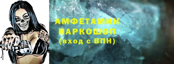шишки Пестово