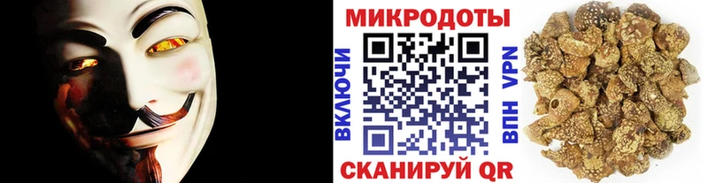 дарк нет формула  Шарья  Псилоцибиновые грибы Psilocybe 
